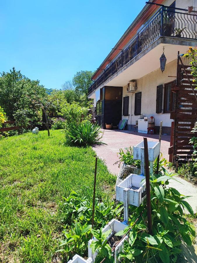 Apartment Dedo, Salara Farmhouse Koper Exteriör bild